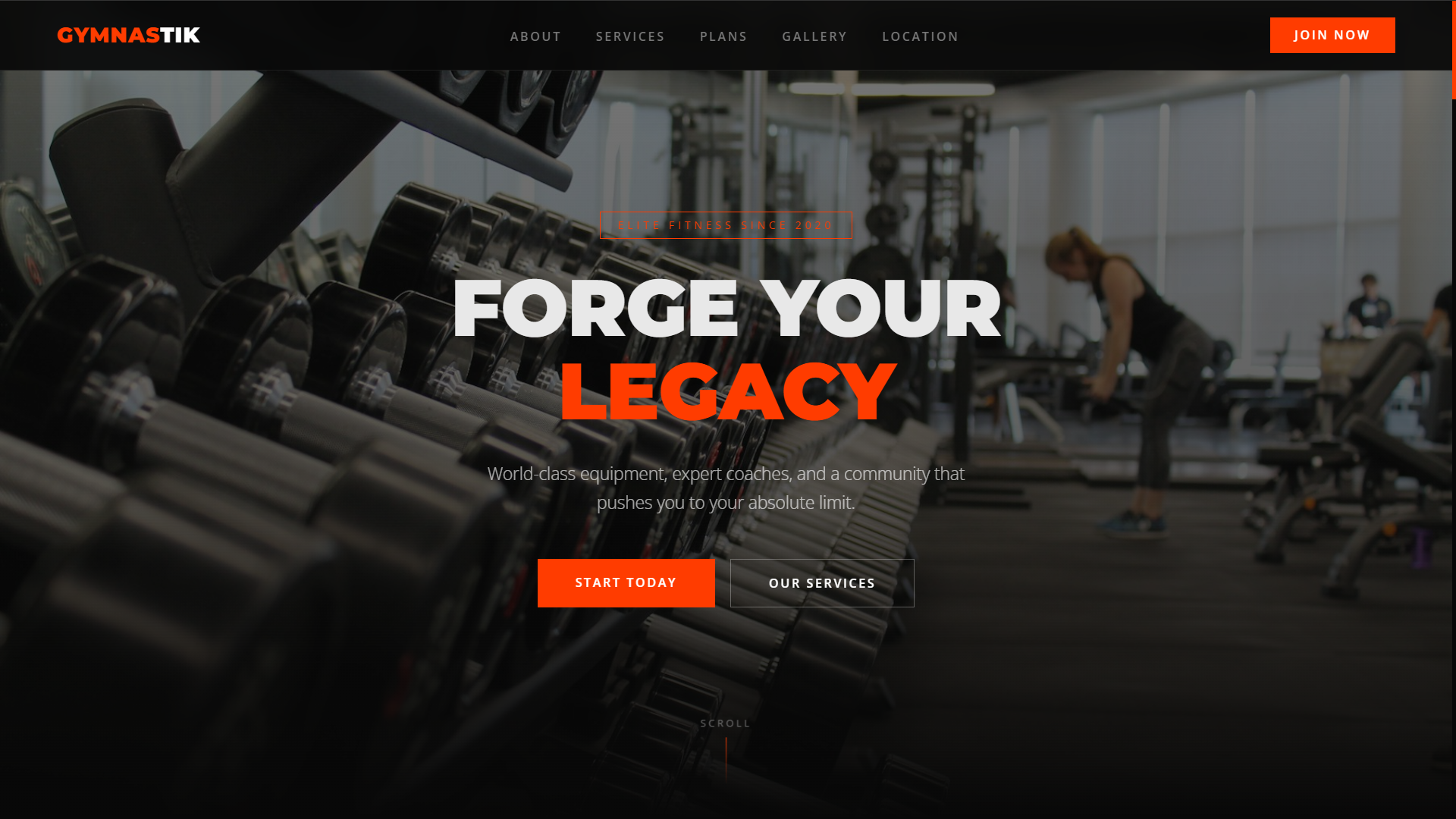 Preview of Gym Website project